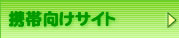 ���o�C���T�C�g����