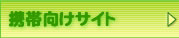 ���o�C���T�C�g����